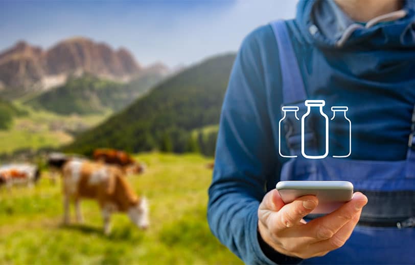 epirus land section 2 agrotes